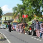 Mitra-095